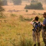 Nature-walks-in-Lake-Manyara-National-Parks